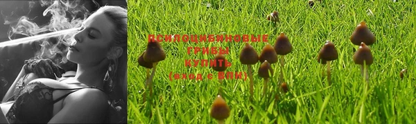 гашишное масло Аркадак