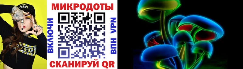 Псилоцибиновые грибы Psilocybe блэк спрут зеркало Юрьев-Польский где купить наркоту